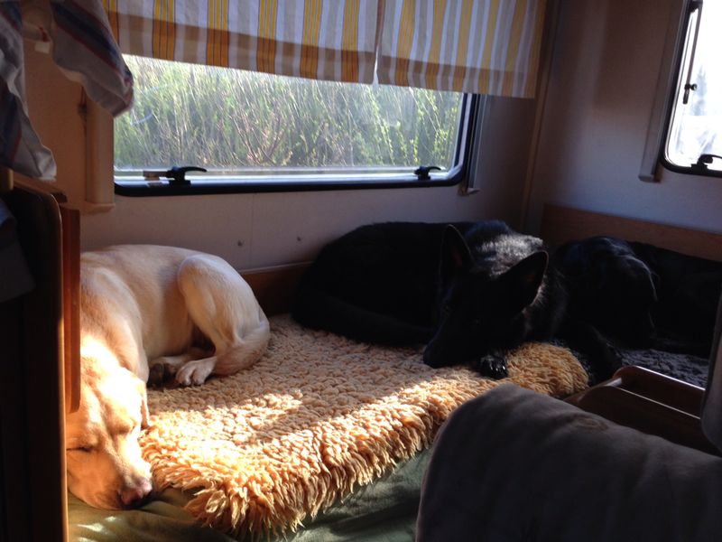 IMG-20140413-WA0000
